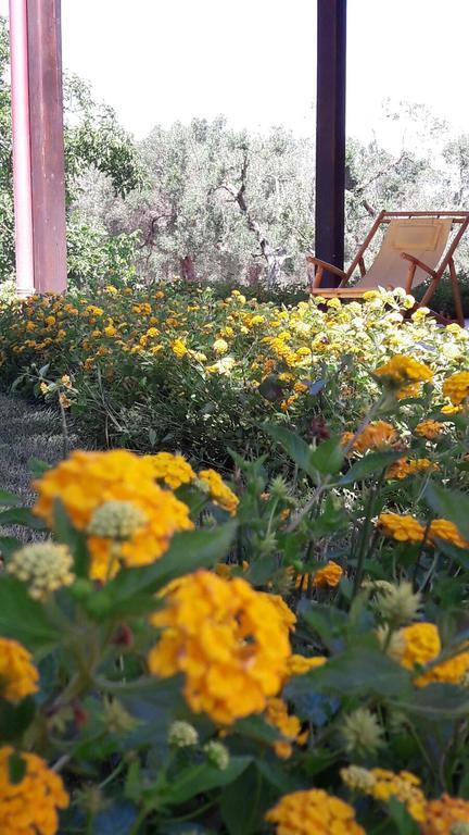 Tenuta Cavalieri Leverano Dış mekan fotoğraf