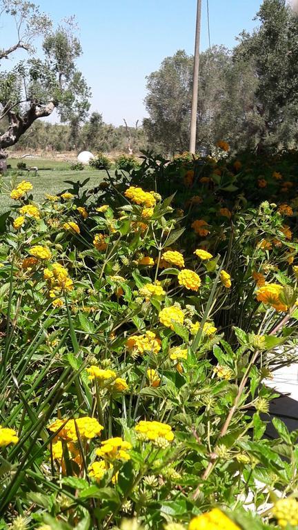 Tenuta Cavalieri Leverano Dış mekan fotoğraf